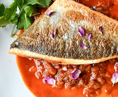 Fish Meal